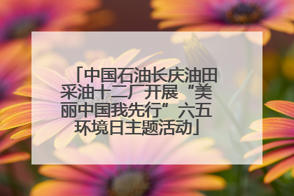 中国石油长庆油田采油十二厂开展“美丽中国我先行”六五环境日主题活动