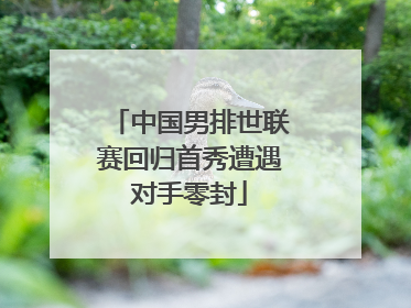 中国男排世联赛回归首秀遭遇对手零封