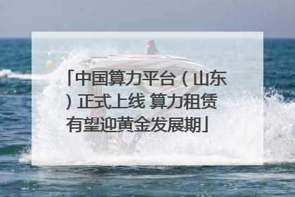 中国算力平台（山东）正式上线 算力租赁有望迎黄金发展期