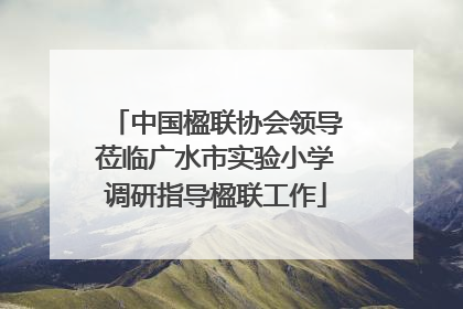 中国楹联协会领导莅临广水市实验小学调研指导楹联工作