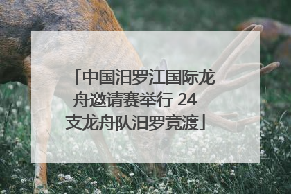 中国汨罗江国际龙舟邀请赛举行 24支龙舟队汨罗竞渡
