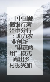 中国邮储银行菏泽市分行：助力农业创新 “果蔬两用”模式 跑出乡村振兴加速度