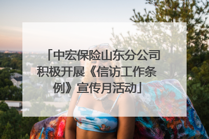 中宏保险山东分公司积极开展《信访工作条例》宣传月活动