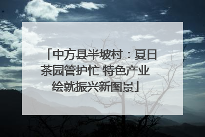 中方县半坡村：夏日茶园管护忙 特色产业绘就振兴新图景
