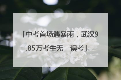 中考首场遇暴雨，武汉9.85万考生无一误考