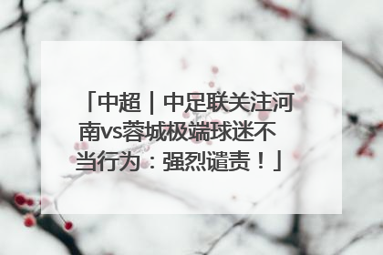 中超｜中足联关注河南vs蓉城极端球迷不当行为：强烈谴责！