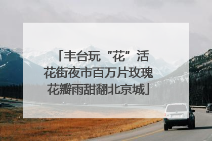 丰台玩“花”活 花街夜市百万片玫瑰花瓣雨甜翻北京城