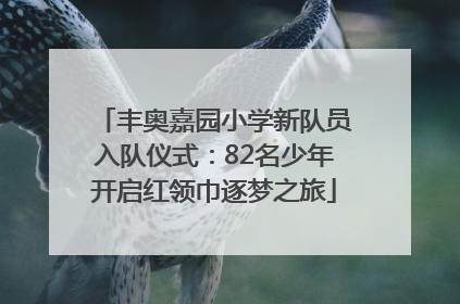 丰奥嘉园小学新队员入队仪式：82名少年开启红领巾逐梦之旅