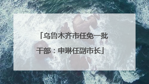 乌鲁木齐市任免一批干部：申琳任副市长