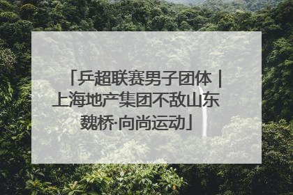 乒超联赛男子团体｜上海地产集团不敌山东魏桥·向尚运动