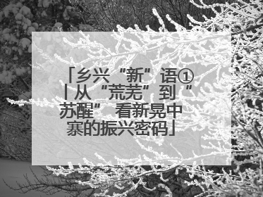 乡兴“新”语①丨从“荒芜”到“苏醒” 看新晃中寨的振兴密码