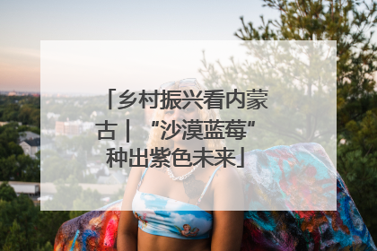 乡村振兴看内蒙古｜“沙漠蓝莓”种出紫色未来