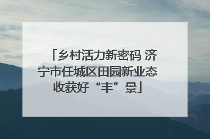 乡村活力新密码 济宁市任城区田园新业态收获好“丰”景
