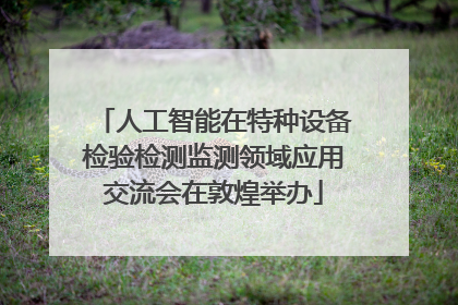 人工智能在特种设备检验检测监测领域应用交流会在敦煌举办