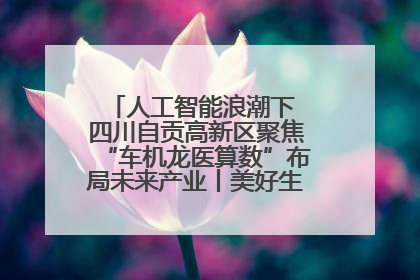 人工智能浪潮下 四川自贡高新区聚焦“车机龙医算数”布局未来产业丨美好生活有“盐”味