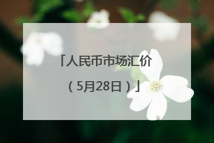人民币市场汇价（5月28日）