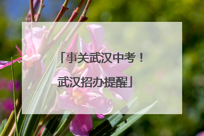 事关武汉中考！武汉招办提醒