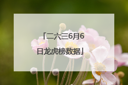 二六三6月6日龙虎榜数据