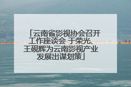 云南省影视协会召开工作座谈会 于荣光、王砚辉为云南影视产业发展出谋划策