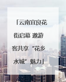云南宜良花街启幕 邀游客共享“花乡水城”魅力