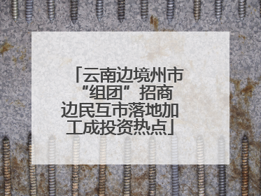 云南边境州市“组团”招商 边民互市落地加工成投资热点