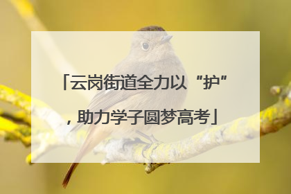 云岗街道全力以“护”，助力学子圆梦高考