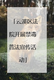云溪区法院开展禁毒普法宣传活动
