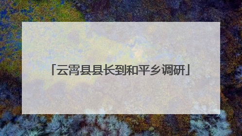 云霄县县长到和平乡调研