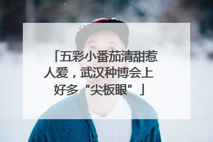 五彩小番茄清甜惹人爱，武汉种博会上好多“尖板眼”