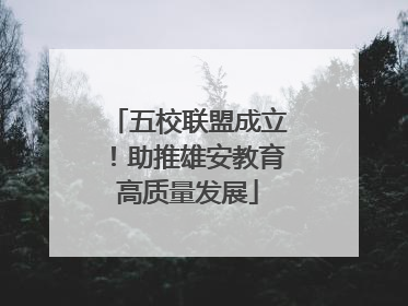 五校联盟成立！助推雄安教育高质量发展