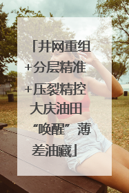 井网重组+分层精准+压裂精控 大庆油田“唤醒”薄差油藏