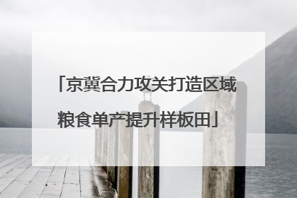 京冀合力攻关打造区域粮食单产提升样板田