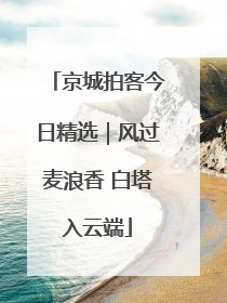 京城拍客今日精选｜风过麦浪香 白塔入云端