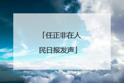 任正非在人民日报发声