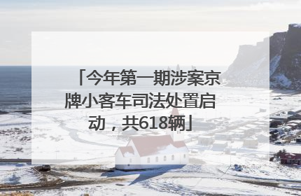 今年第一期涉案京牌小客车司法处置启动，共618辆