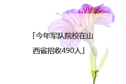今年军队院校在山西省招收490人