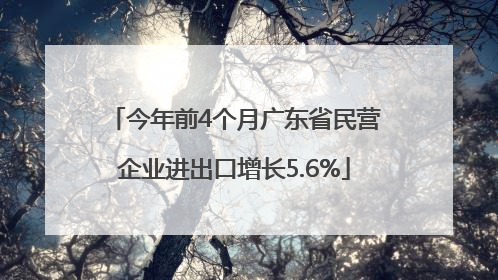 今年前4个月广东省民营企业进出口增长5.6%