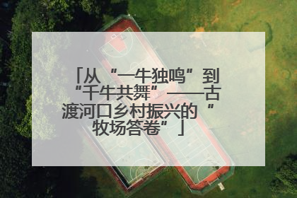 从“一牛独鸣”到“千牛共舞”——古渡河口乡村振兴的“牧场答卷”
