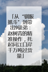 从“驯服抓斗”到带出9徒弟：赵树青的精准操作，托起同江口岸千万吨过货量