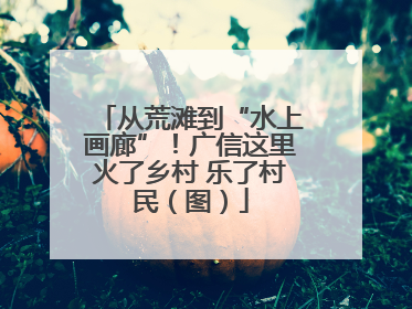 从荒滩到“水上画廊”！广信这里火了乡村 乐了村民（图）