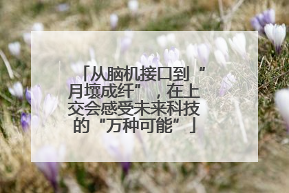 从脑机接口到“月壤成纤”，在上交会感受未来科技的“万种可能”