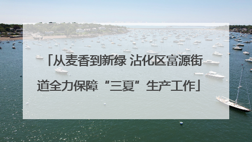 从麦香到新绿 沾化区富源街道全力保障“三夏”生产工作
