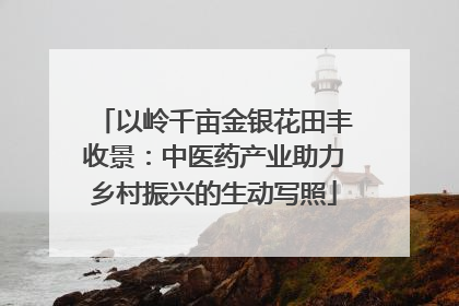 以岭千亩金银花田丰收景：中医药产业助力乡村振兴的生动写照