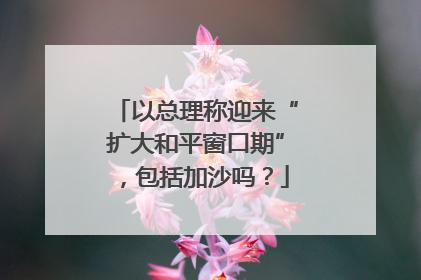 以总理称迎来“扩大和平窗口期”，包括加沙吗？