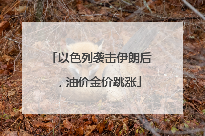 以色列袭击伊朗后，油价金价跳涨