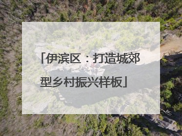 伊滨区：打造城郊型乡村振兴样板
