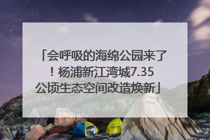 会呼吸的海绵公园来了！杨浦新江湾城7.35公顷生态空间改造焕新