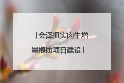 会泽抓实肉牛增量提质项目建设