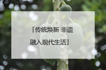 传统焕新 非遗融入现代生活