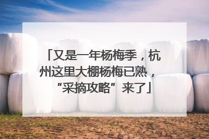 又是一年杨梅季，杭州这里大棚杨梅已熟，“采摘攻略”来了